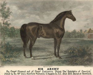 Sir Archy